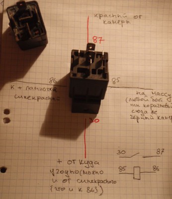 P1310031.JPG