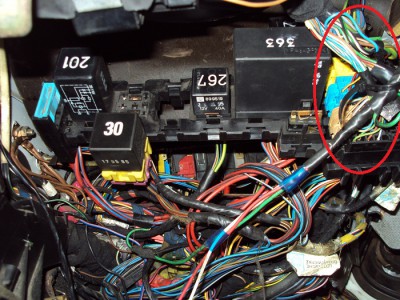 DSC02255_.jpg