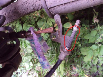 DSC02194_.jpg