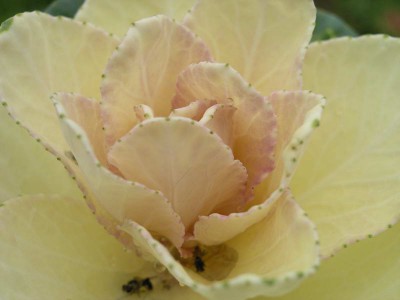 P9303112_resize.JPG
